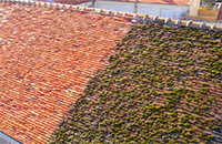 Services de démoussage de toiture à Zigliara