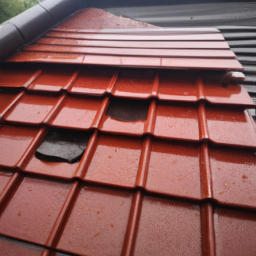 Toiture en bac acier : compatibilité avec les climats Messimy-sur-Saone