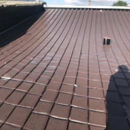 Puits de lumière : pourquoi les installer ? Pruille-le-Chetif